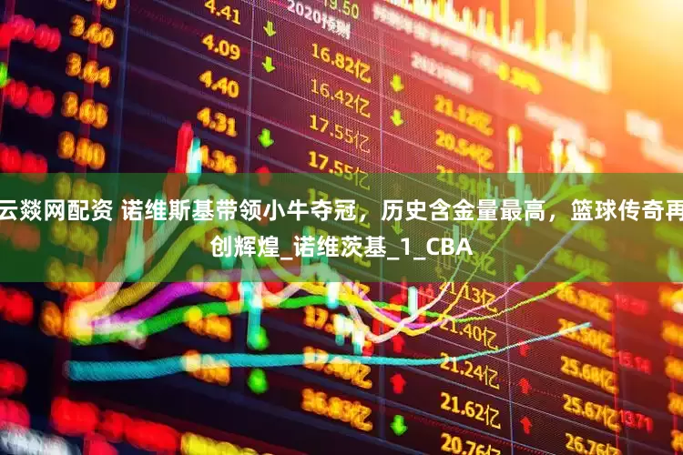 云燚网配资 诺维斯基带领小牛夺冠，历史含金量最高，篮球传奇再创辉煌_诺维茨基_1_CBA