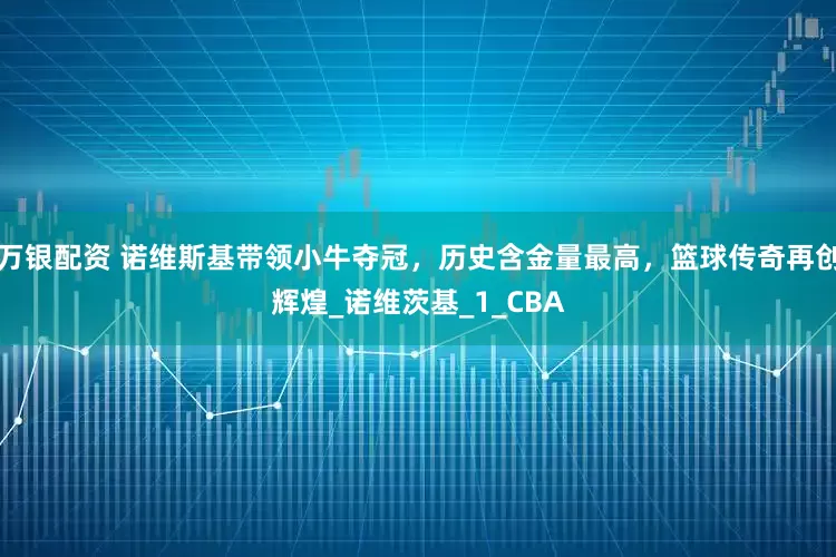 万银配资 诺维斯基带领小牛夺冠，历史含金量最高，篮球传奇再创辉煌_诺维茨基_1_CBA