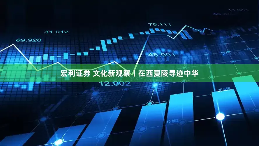 宏利证券 文化新观察丨在西夏陵寻迹中华
