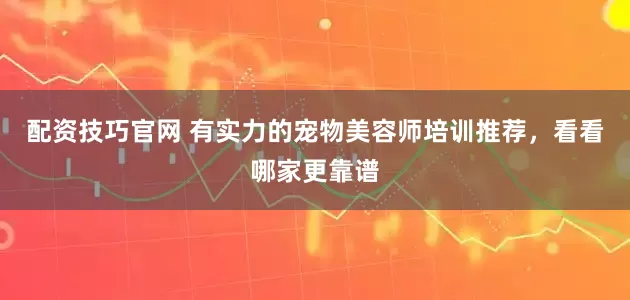 配资技巧官网 有实力的宠物美容师培训推荐，看看哪家更靠谱